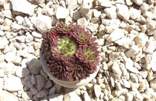 Ferienwohnung Novotny - Foto 21