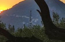 Angelos Studios - Photo 36