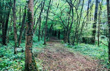 Appartement LOGIS DU CHATEAU DES MARAIS - pour 2 à 3 PERSONNES - Foto 10