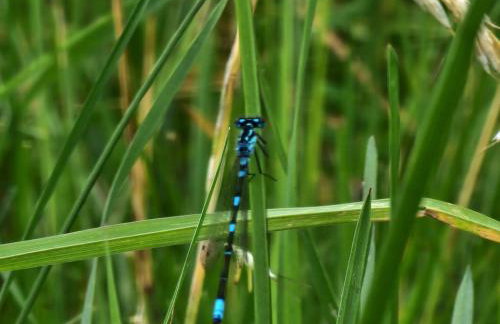 Dom wakacyjny w Lubianie - Foto 25