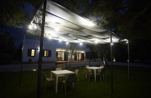 Gli Ulivi di Gino - Foto 60