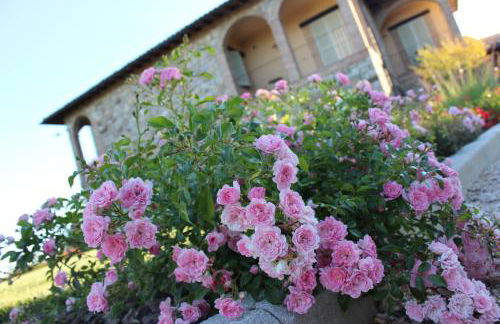 Agriturismo Fattoria di Monticello - Foto 56