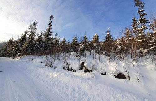 Villa Róża - Foto 36