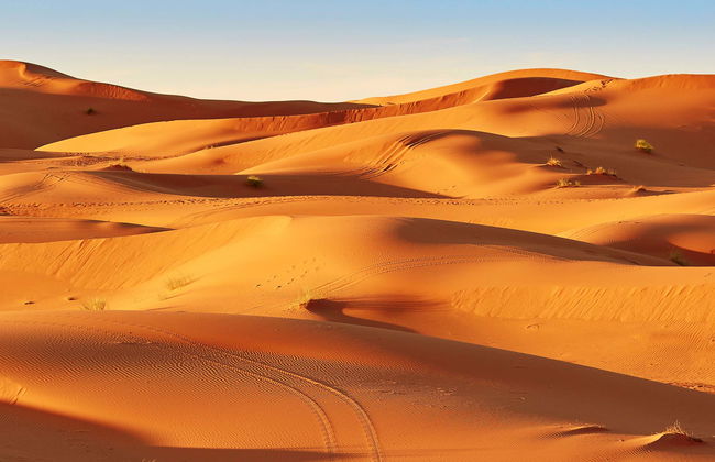 Escursione privata nel deserto - Foto 7