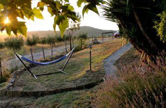 Maremma che vista! - Foto 29