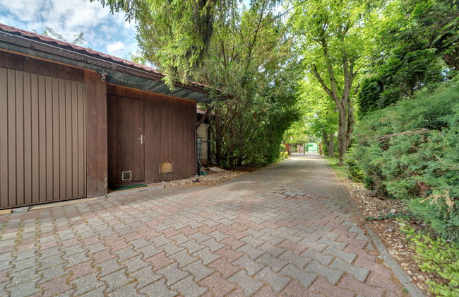 W Starym Sadzie - Foto 34