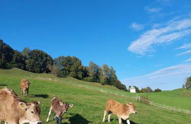 Wörle, Ferienhof - Foto 19