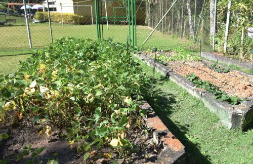 Chácara condomínio perto de SP - Foto 27
