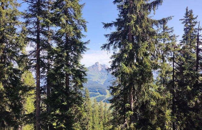 Apartment in Filzmoos Near Ski Amade - Photo 26