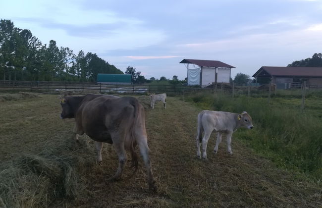 Relais Ormesani - Foto 49