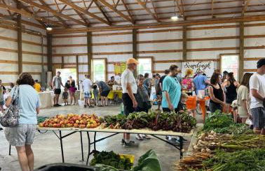 Hidden Gem Farm Homestead Sleeps 12 &Fresh Produce - Photo 61