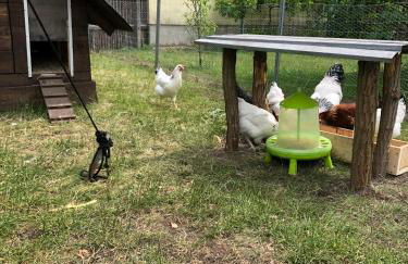 Ferienhaus Sterling - Foto 6