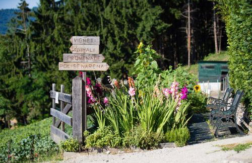 Polisena L'Altro Agriturismo Veg - Foto 36