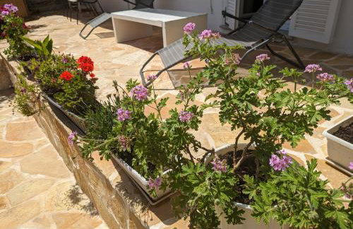 Traditional house with fresh vegetables garden - Foto 44