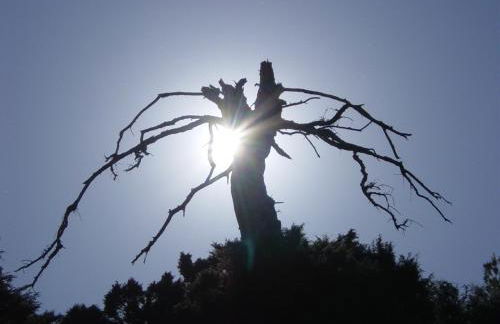 Casa Pepe La Rosa Atico - Foto 50