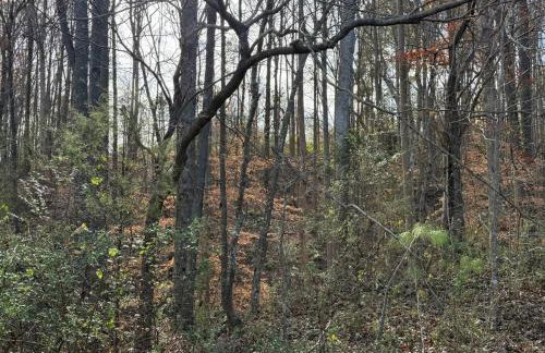 Waterfalls Canyon 41.5 Acres W Miles of Trails - Foto 13