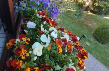 La Dama dei Fiori - Foto 39