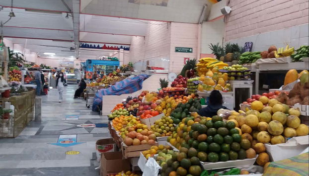 Quito Market & Guayasamín House & Museum Tour - Foto 3