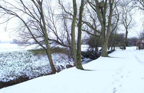 Swallow's Nest - Photo 35