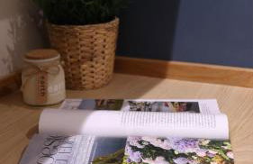 CAMBARAL AS DE GUIA - Foto 32