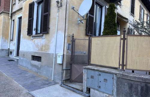 i tulipani - Foto 19