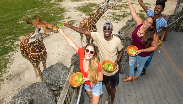 Zoo Miami - Entrada - Foto 4