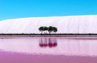 LE PTIT HONORE - Appartement 2 pers - Centre Cosy WiFi Clim Garage - Foto 31