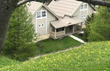 Bas de chalet station La Foux - Foto 50