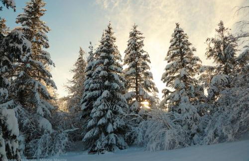 Au Coeur de Prémanon - Foto 29