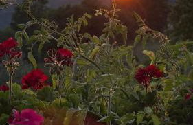 Casale La Quercia - Foto 10