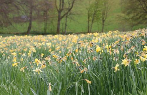 Carphin House near St Andrews - Sleeps 18 - Foto 13