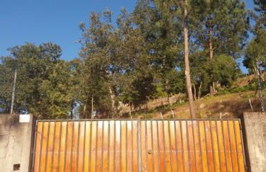 Casas de Canavezes - Foto 36