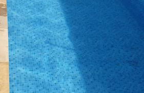 COP 30 Belém - Foto 17