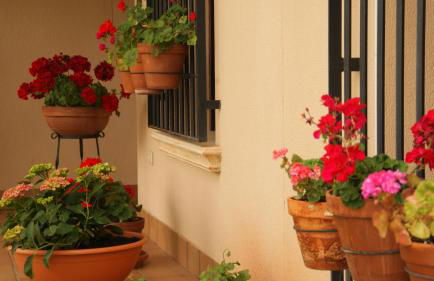 Casas Rurales Cortijo Bellavista - Foto 17