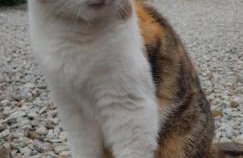 Domek na Obidzy - Foto 29