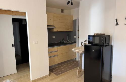 Ciasa Saslonch Apartment - Foto 8