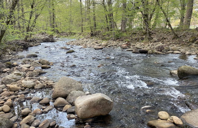 Sweet - 2 Bedrooms, 2 Baths, Sleeps 6 Cabin by RedAwning - Foto 19