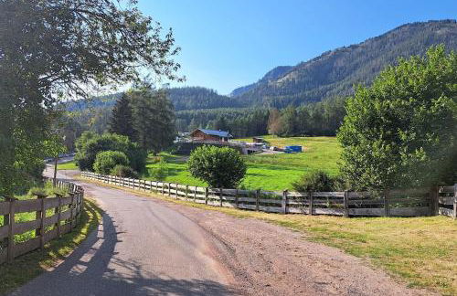 Appartamento Casa AleF - L'affaccio sul Lagorai - Foto 32