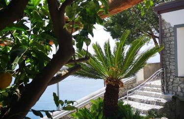 Villa Furoris Apartment - Foto 22