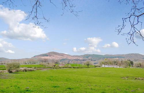 The Shepherd's Rest - Foto 10