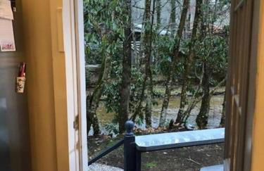 River Run Cottage Modern 2BR Waterfront Retreat in Linville Land Harbor - Foto 20