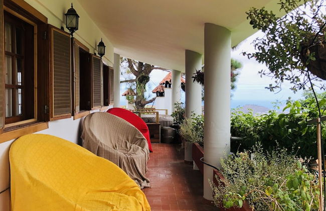 Los Viejitos en Firgas - Foto 26