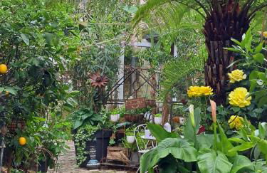 Terra-Crystal - Foto 66