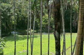 COP 30 - Sítio Paraíso Eco Pousada - Photo 5