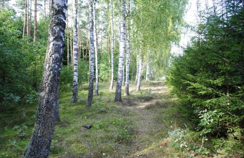 Zielony Gaj - Photo 44