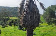 Guesthouse Quinta do Vale - Foto 54