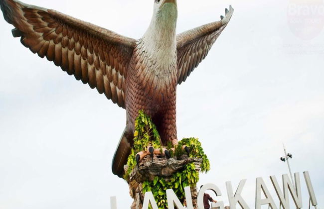 Mangroven-Safari und Höhlenforschung - Private Ganztagestour - Foto 7