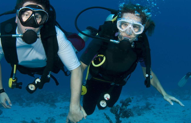 Batismo de mergulho em Koh Tao - Foto 1