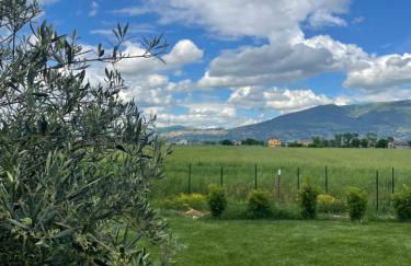 PalmHouse Cristian - Foto 12