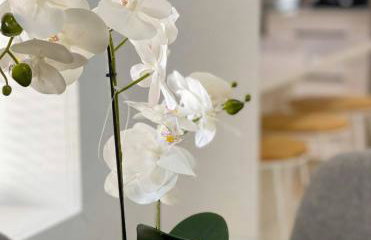 Tranquil and Sunny 4BR Getaway Home - Foto 40